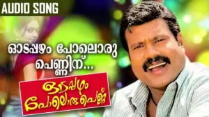 Odappazham Poloru Penninu Lyrics